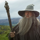 We’ve clearly established that Gandalf can grow a beard...but who else?